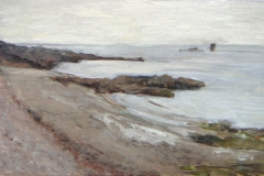 MINOLTA DIGITAL CAMERA