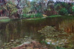 MINOLTA DIGITAL CAMERA