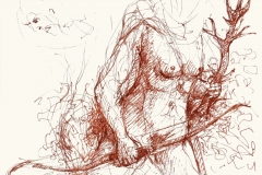 2020-crabbe-le-trophé-de-diane-21X30-encre